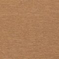Interlude — Warm Almond